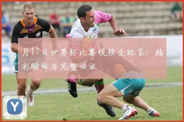 月17日世界杯比赛视频全纪录：精彩瞬间与完整回放