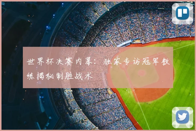 世界杯决赛内幕：独家专访冠军教练揭秘制胜战术