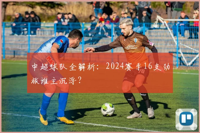 中超球队全解析：2024赛季16支劲旅谁主沉浮？